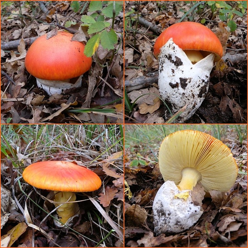 ...ultima bellissima giornata!